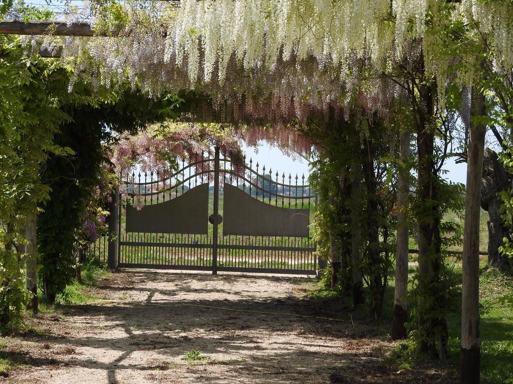 Sezze Tenuta Le Pantanelleヴィラ エクステリア 写真