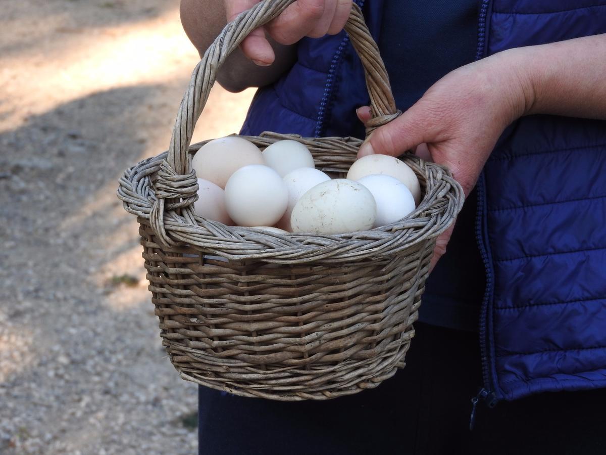 Sezze Tenuta Le Pantanelleヴィラ エクステリア 写真